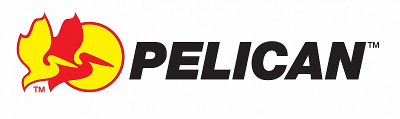 Pelican