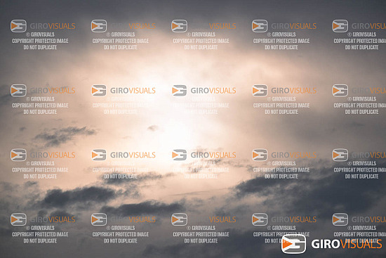 WaratahMasterCC SydneyMotorpark