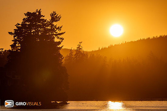 Vancouver Island Gold