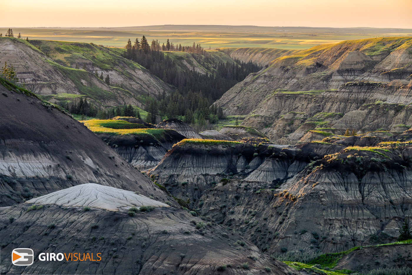Horseshoe Canyon light