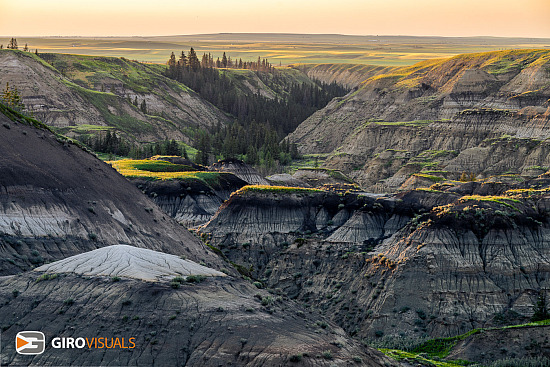 Horseshoe Canyon light